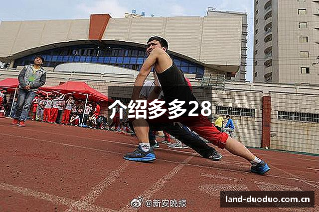 介绍多多28
